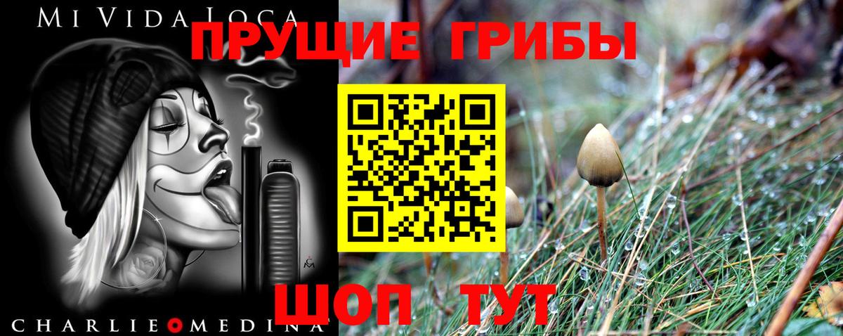 Лениногорск  Галлюциногенные грибы мицелий  Вход с VPN 