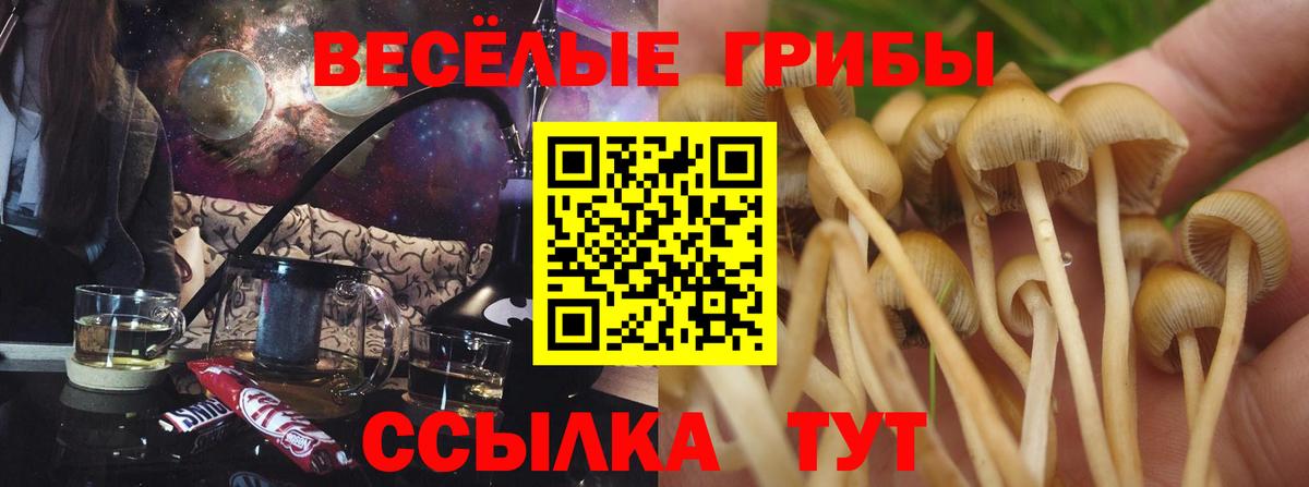 Лениногорск  Гашиш  МДМА  Кокаин  Вход с VPN  Канабис  Меф МЯУ МЯУ кристаллы 